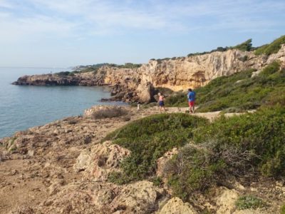 En Comú Podem impulsa una eina digital per frenar el projecte dels Morrots