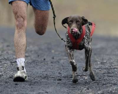 Hi ha dues modalitats de cursa: de 5 i de 2 km.