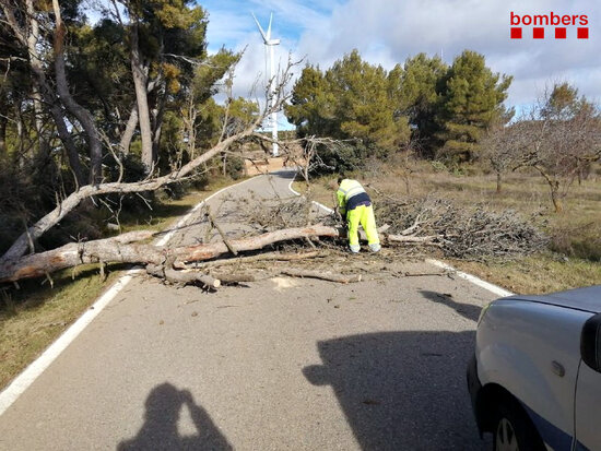 Els Bombers retiren un arbre caigut a la calçada a la TV-7333 a Gandesa