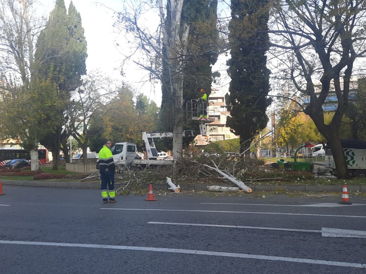 El 112 rep gairebé 500 trucades pel vent des de la matinada de dijous