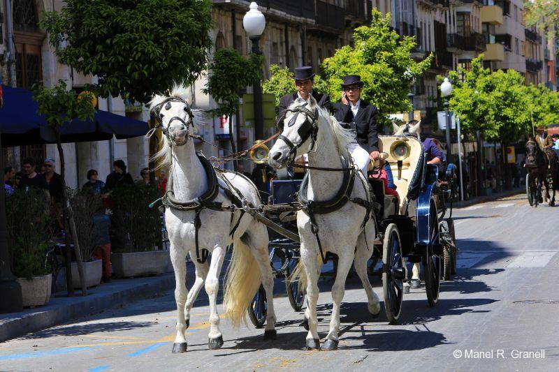 Els Tres Tombs es faran el 20 de març a la ciutat.