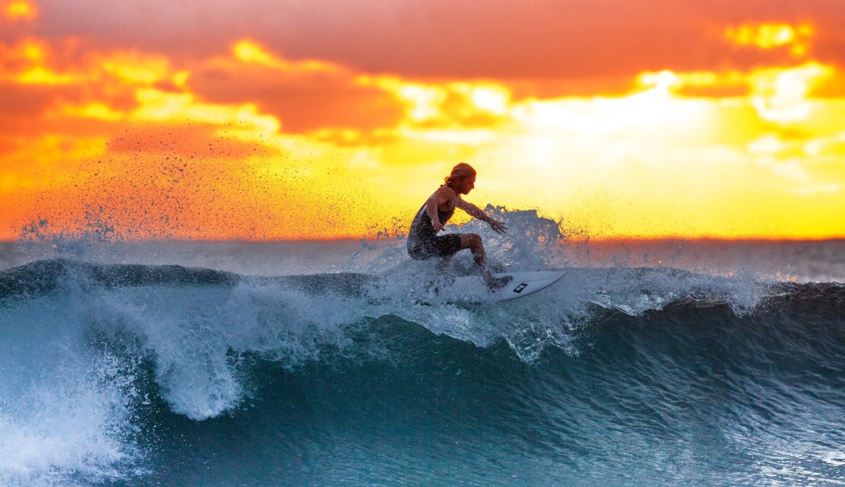 Surfista