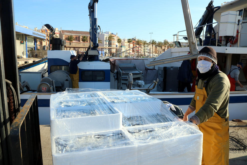 Un mariner del peix blau del Serrallo davant una pila de caixes de seitó. Foto: ACN.