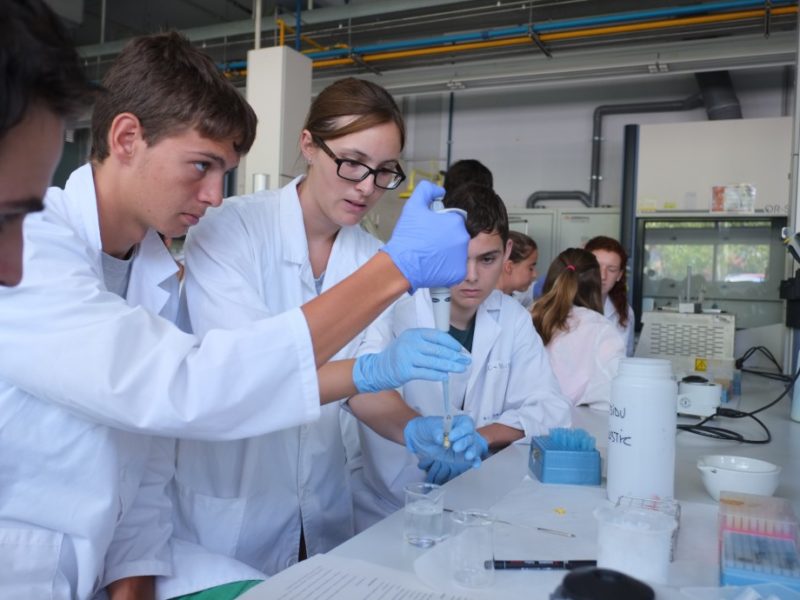 Els cursos d'EstiURV tornen a la presencialitat, mentre que el campus de física i matemàtiques serà híbrid.