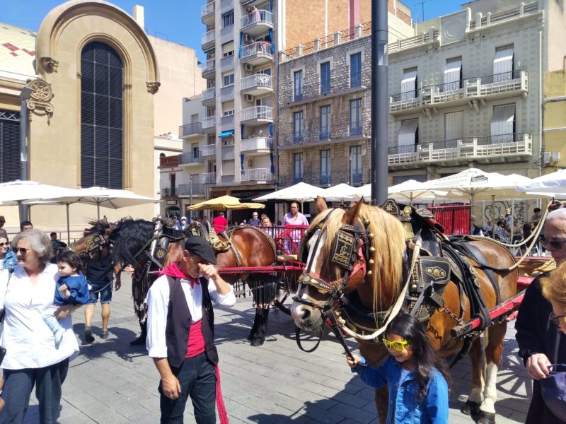 Cavall tres tombs plaça Corsini 2022