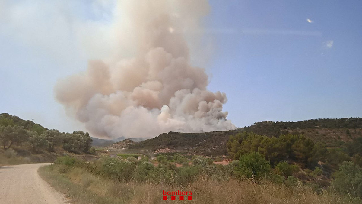 Incendi Foresta Corbera Ebre 15 juny 2022