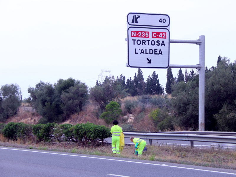 Operàries del del servei de manteniment de Carreteres netejant el tram de la mitjana de l'AP-7 on ha aparegut el cos d'un home presumiblement atropellat aquest dijous al matí Data de publicació: dijous 20 d’octubre del 2022, 12:32 Localització: L'Aldea Autor: Redacció