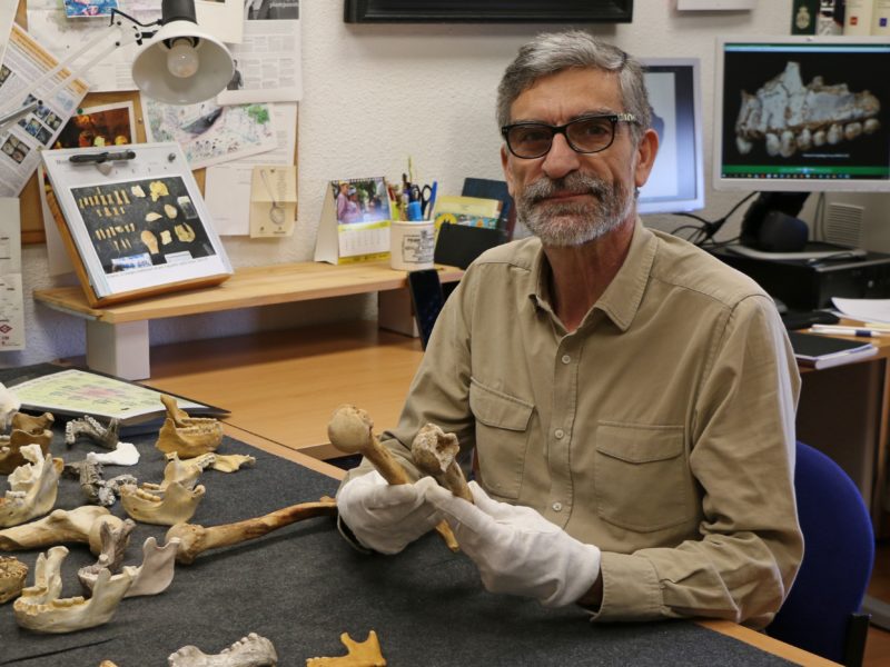 Antonio Rosas, és professor de recerca del CSIC i director del Grup de Paleoantropologia del Museu Nacional de Ciències Naturals i un dels majors experts internacionals sobre els Neandertals.