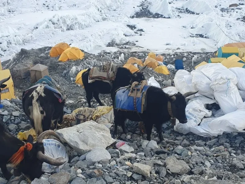 Everest - Comitè de Control de la Contaminació Sagarmatha