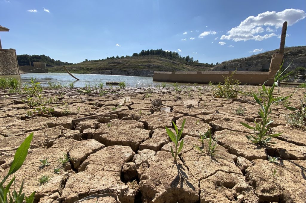 Sequera: Pantà de El Catllar. Juliol 2023
