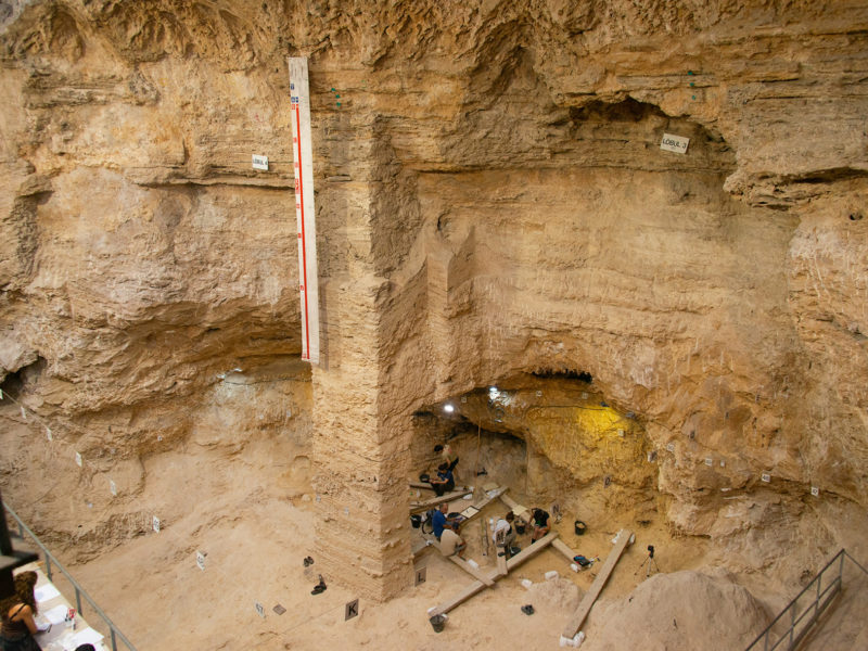 Iphes: Abric Romaní Capellades. nivell R que correspon a un campament neandertal especialitzat en la caça de cérvols i on durant la campanya anterior es va recuperar les restes parcials d’un crani de Neandertal de 60.000 anys d’antiguitat.