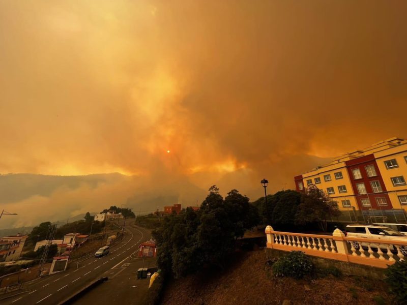 Foto: Ayuntamiento Orotava @LaOrotava