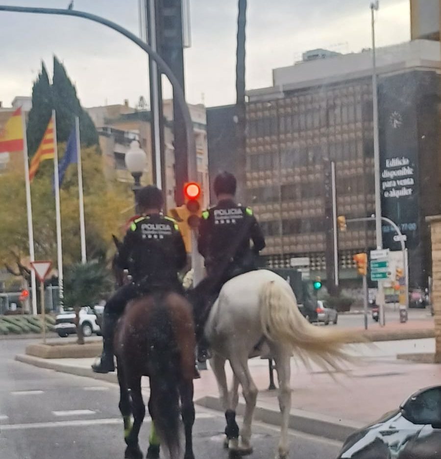 Policia a cavall