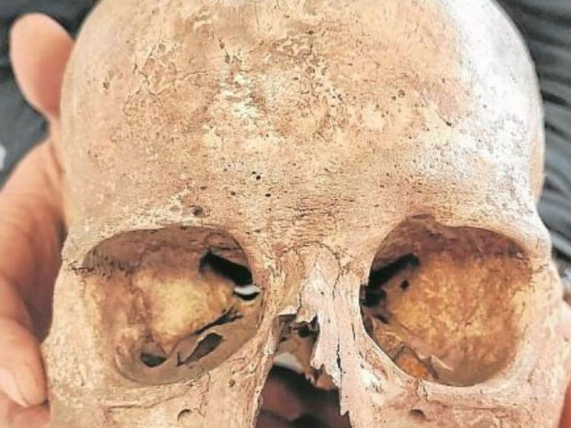 Crani humà recuperat a la Cova dels Xaragalls. Autoria: Antonio Rodríguez-Hidalgo / Universitat de Sevilla