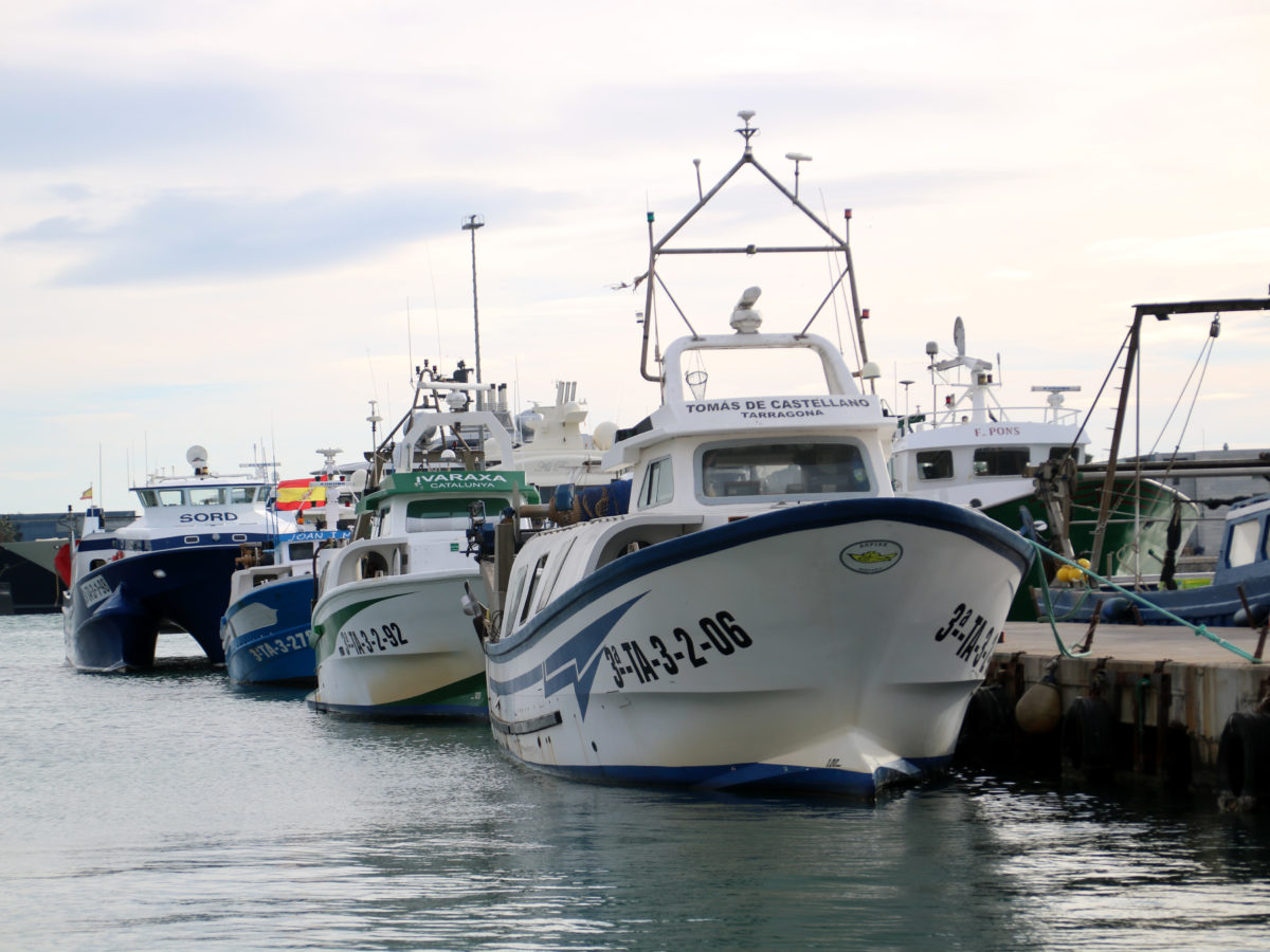 Els pescadors tarragonins alerten que ‘és inassumible’ reduïr els dies per sortir a la mar