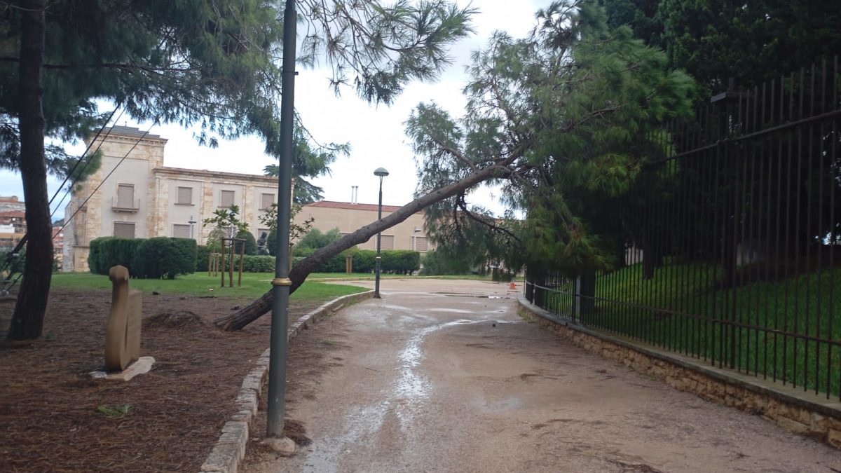 Foto Dana al Parc de la Ciutat