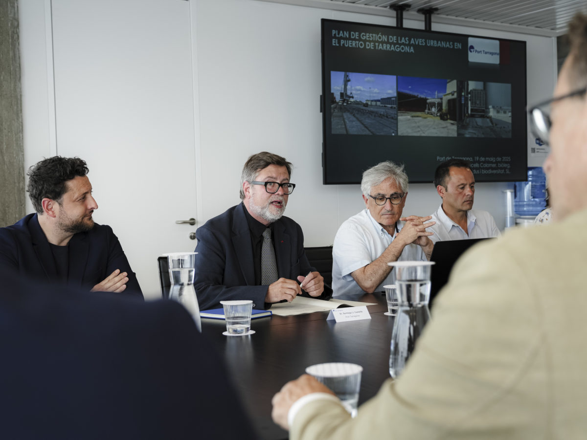 El Port presenta un pla d’actuació per al control de la població de coloms
