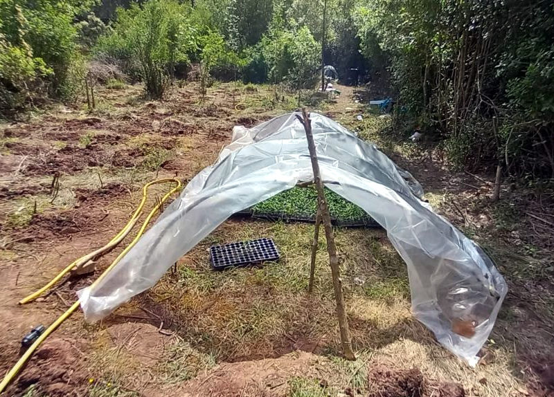 Els Mossos d'Esquadra ja van localitzar una plantació similar en aquest mateix indret l'any 2021