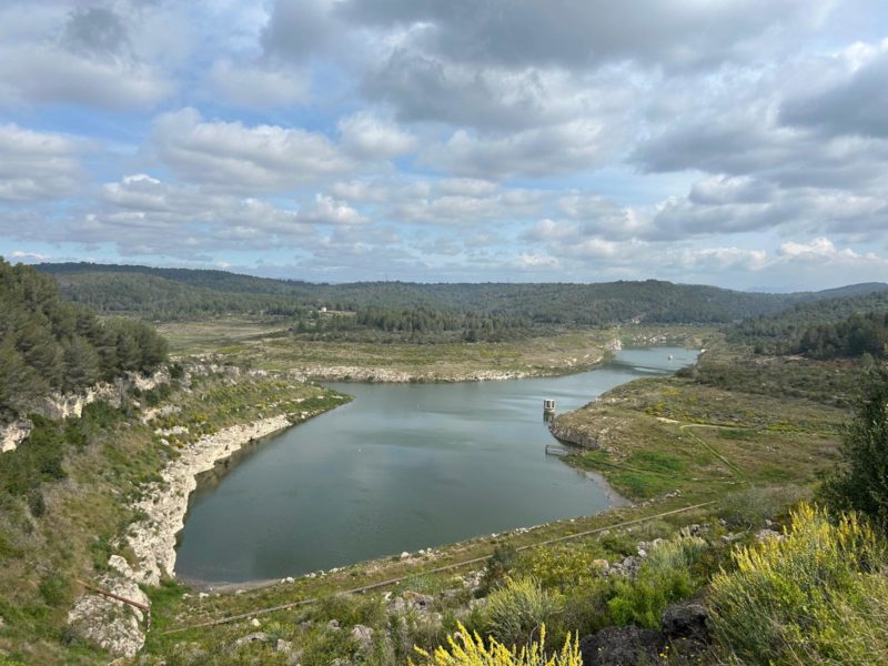 Presa del Catllar (2025). Foto: Associació Mediambiental La Sínia