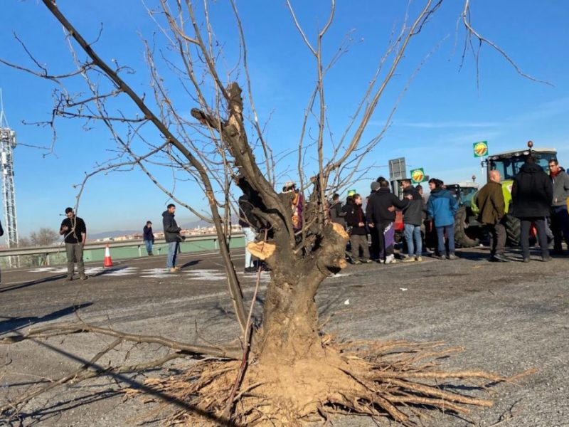 Unió de Pagesos desconvoca la tractorada i el tall de l’AP-7 a Constantí