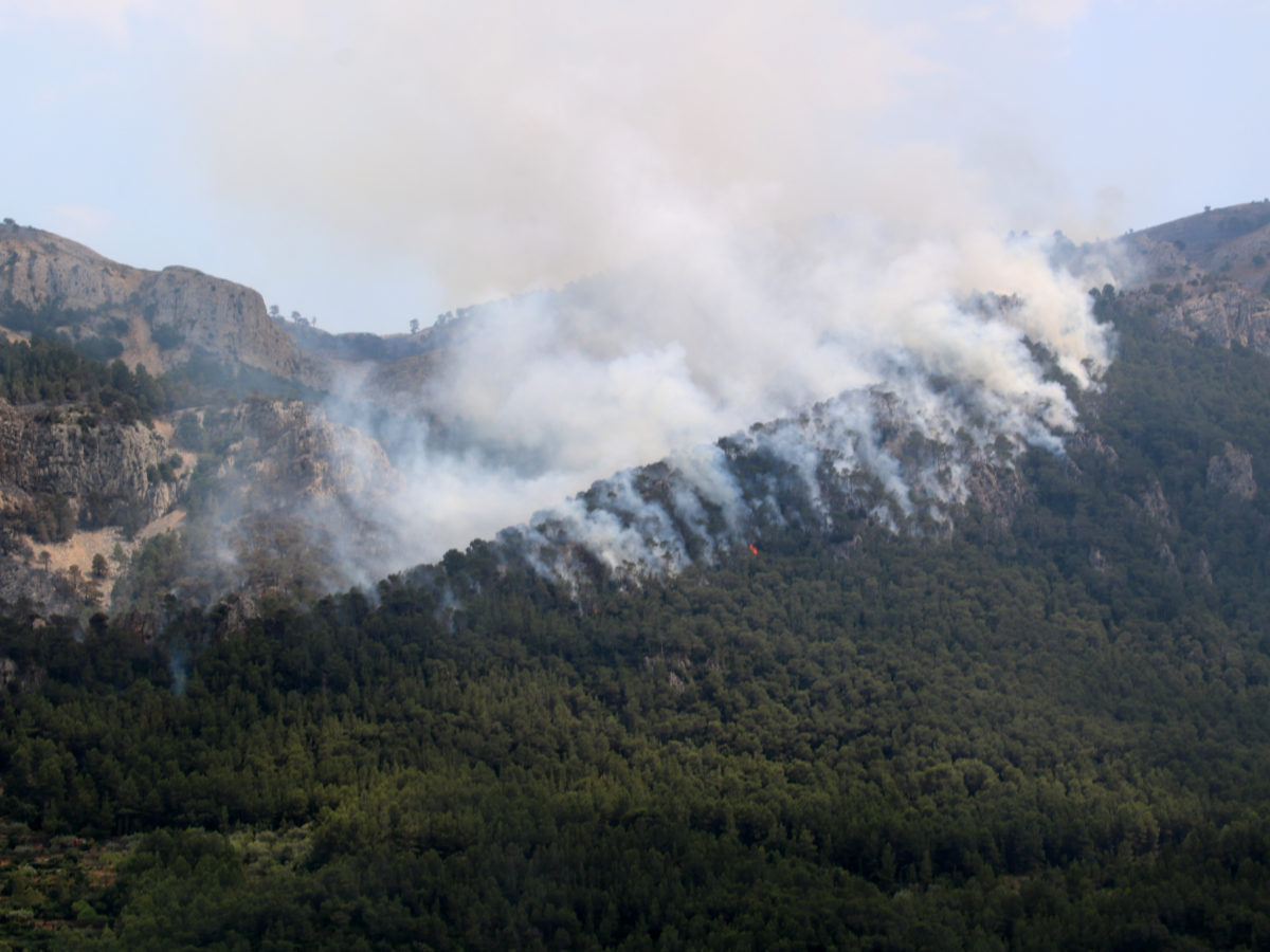 Estabilitzat l’incendi de Paüls
