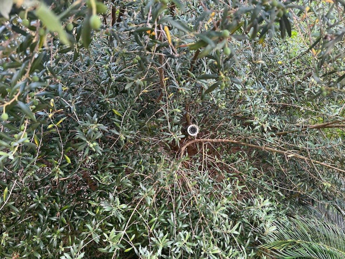 Desmantellen una plantació interior de marihuana en un xalet de la Móra de Tarragona i detenen dos homes