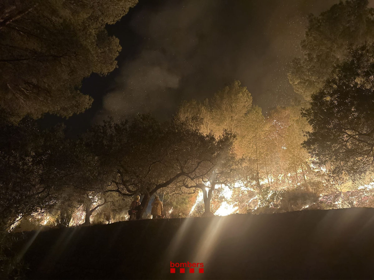 Els Bombers confien estabilitzar l’incendi de Paüls al llarg del dia després de treballar-hi “intensament” durant la nit