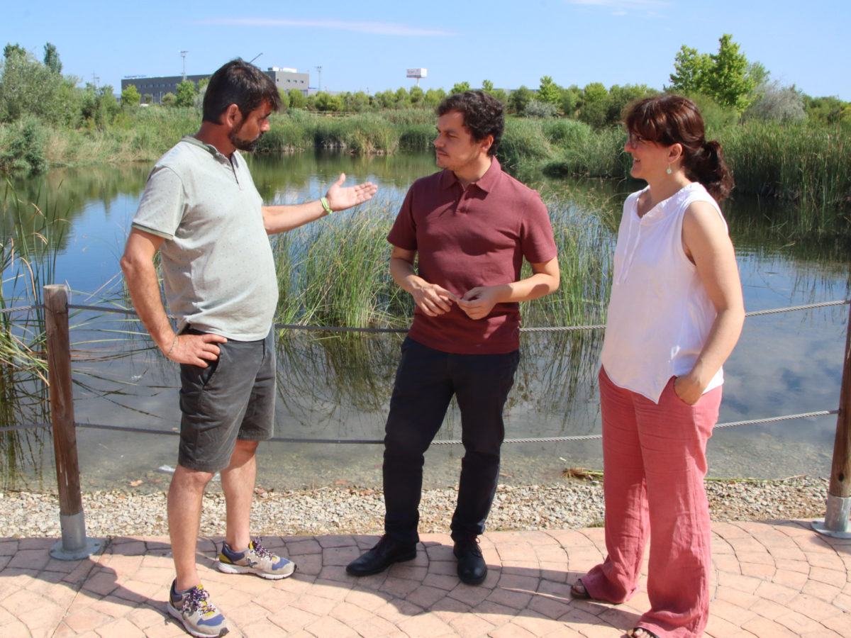 La renaturalització de la llacuna de l’Anella Mediterrània començarà aquest estiu