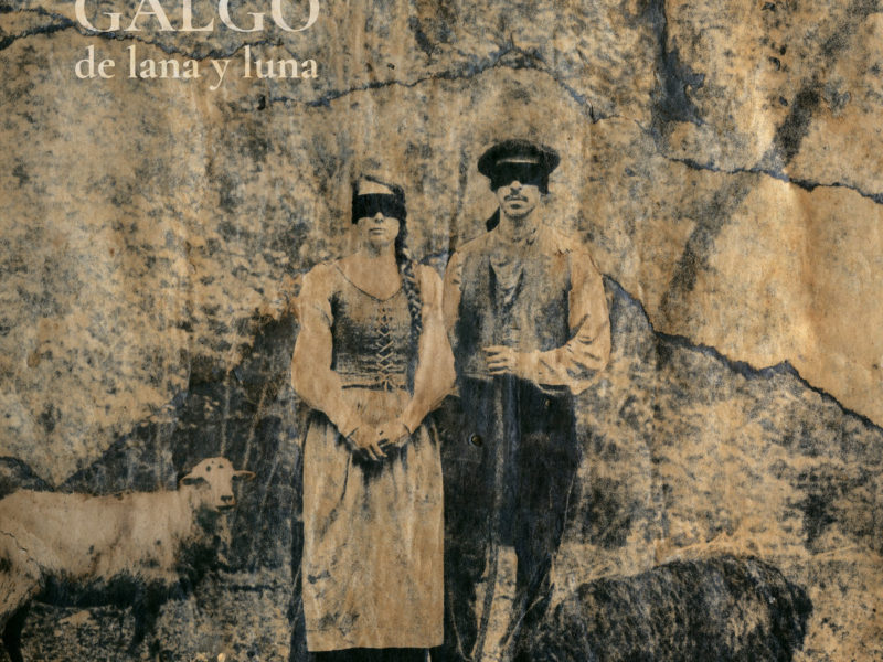 Galgo