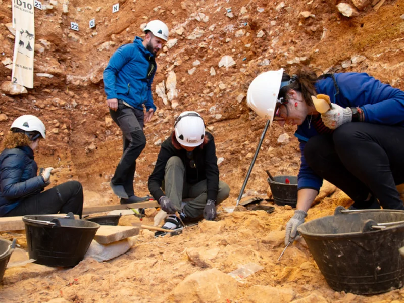 Treballs d’excavació al nivell TD6 de la Gran Dolina (sierra de Atapuerca, Burgos). Autoria: Maria D. Guillén / IPHES-CERCA