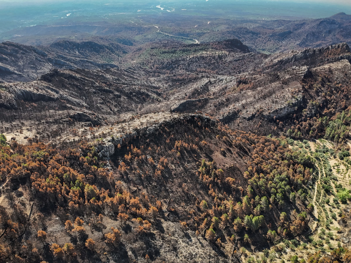 Incendi Paüls