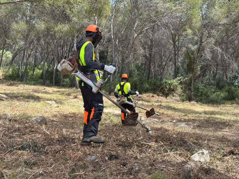 Neteja boscos a Tarragona
