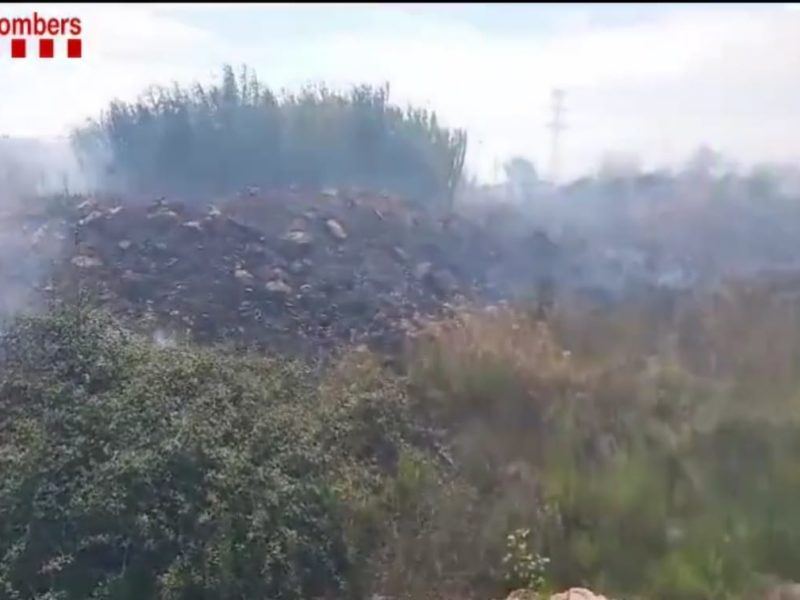Crema un foc entre Bonavista i Camp Clar