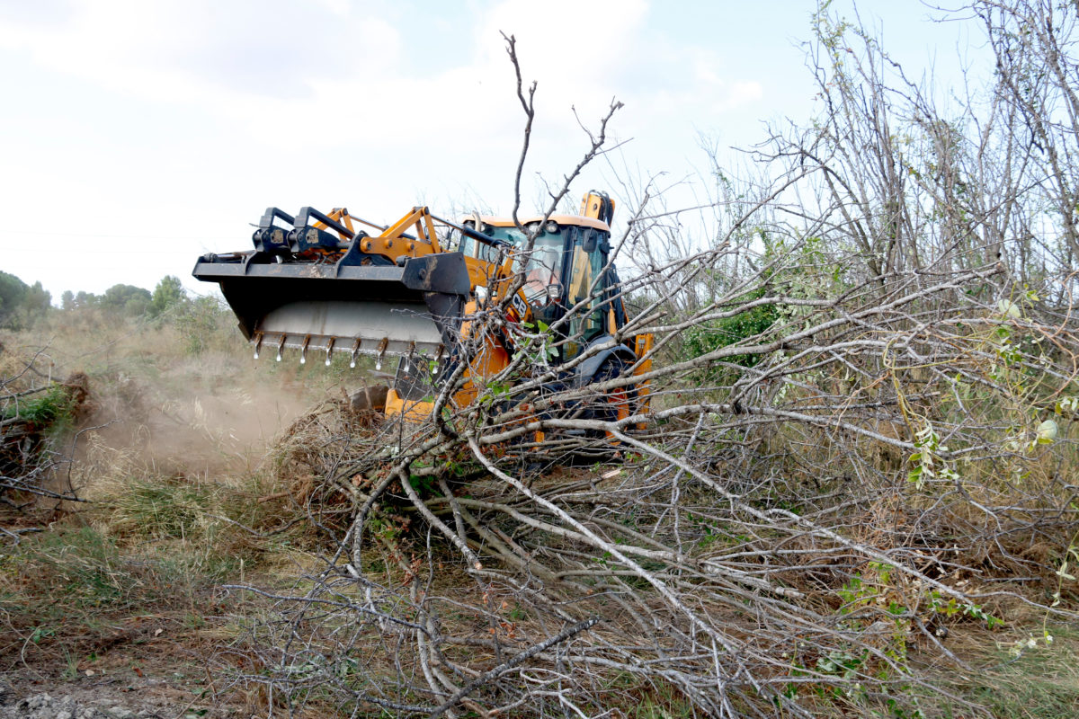 Excavadora treu avellaners Foto: ACN
