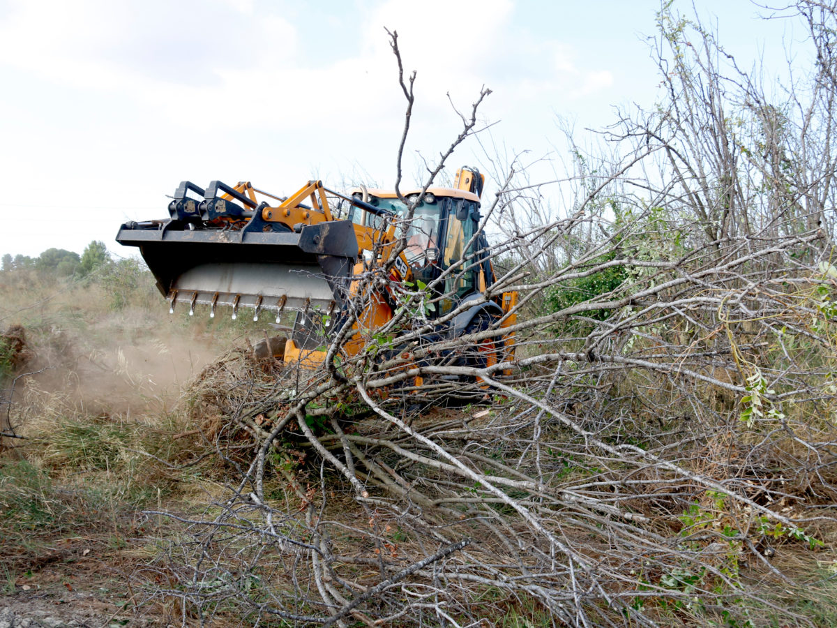 Excavadora treu avellaners Foto: ACN