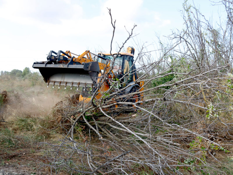 Excavadora treu avellaners Foto: ACN