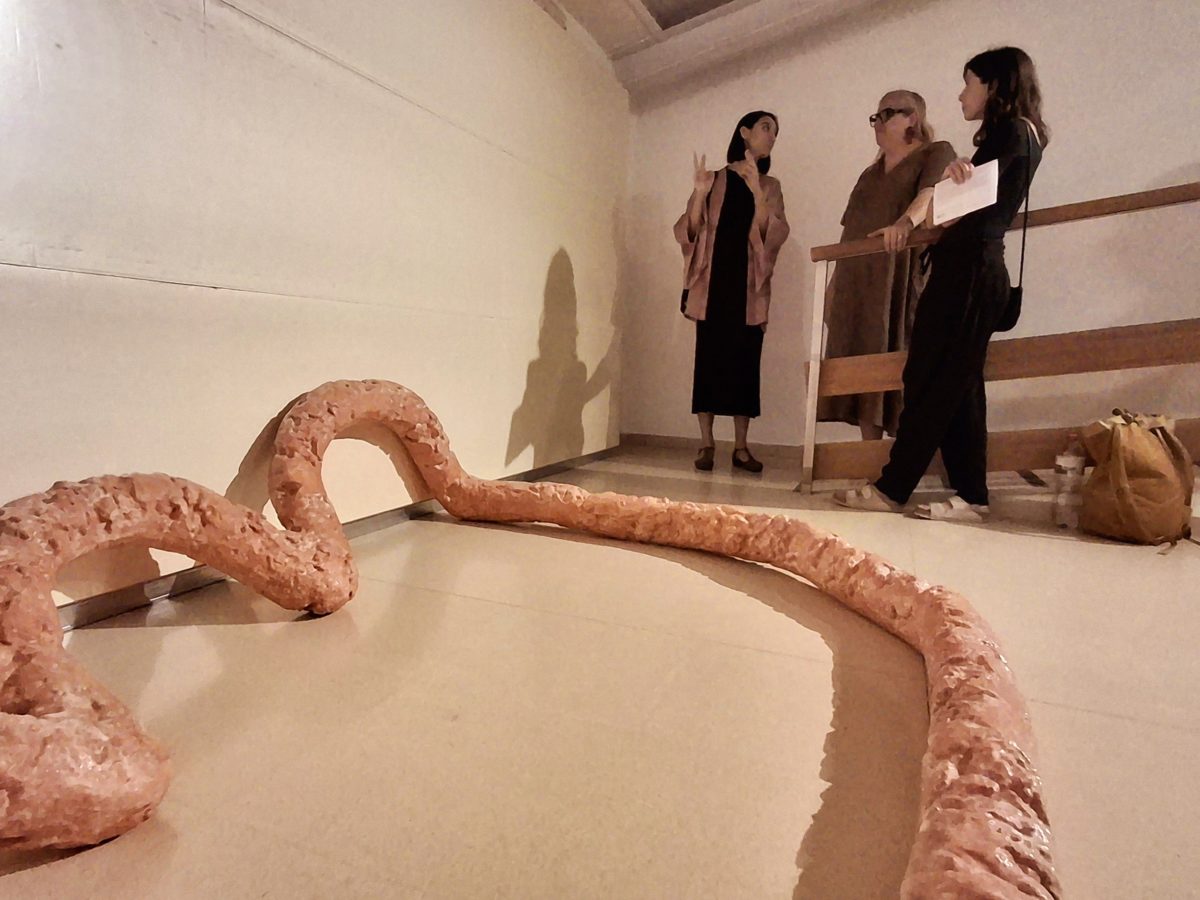 Les Golfes de Casa Canals acullen Pedreny, pedram, parany, pericle, un projecte expositiu d’Ariadna Mangrané. Organitzada pel Centre d’Arts Contemporànies de Tarragona, Mèdol, i comissariada per Alexandra Laudo, la mostra es podrà visitar fins al 16 de novembre