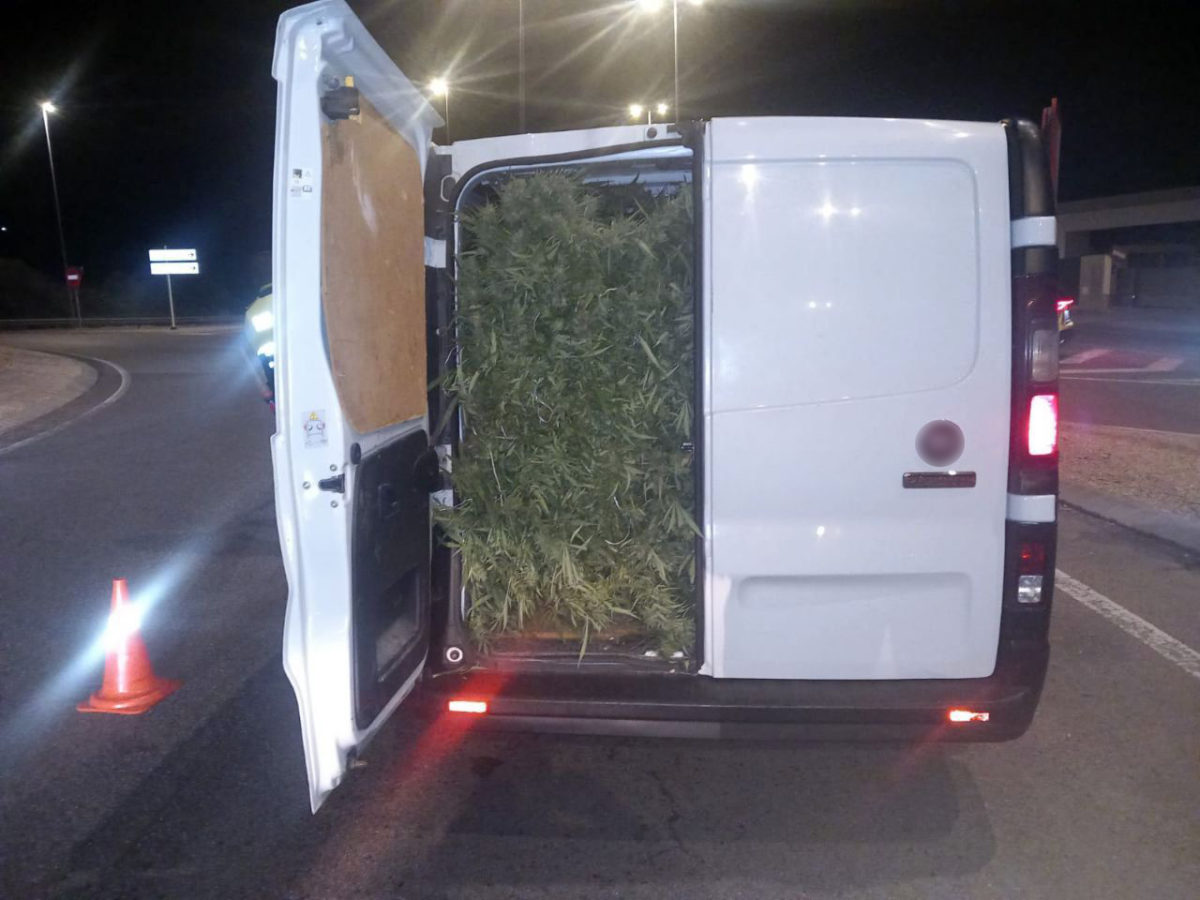 Mossos