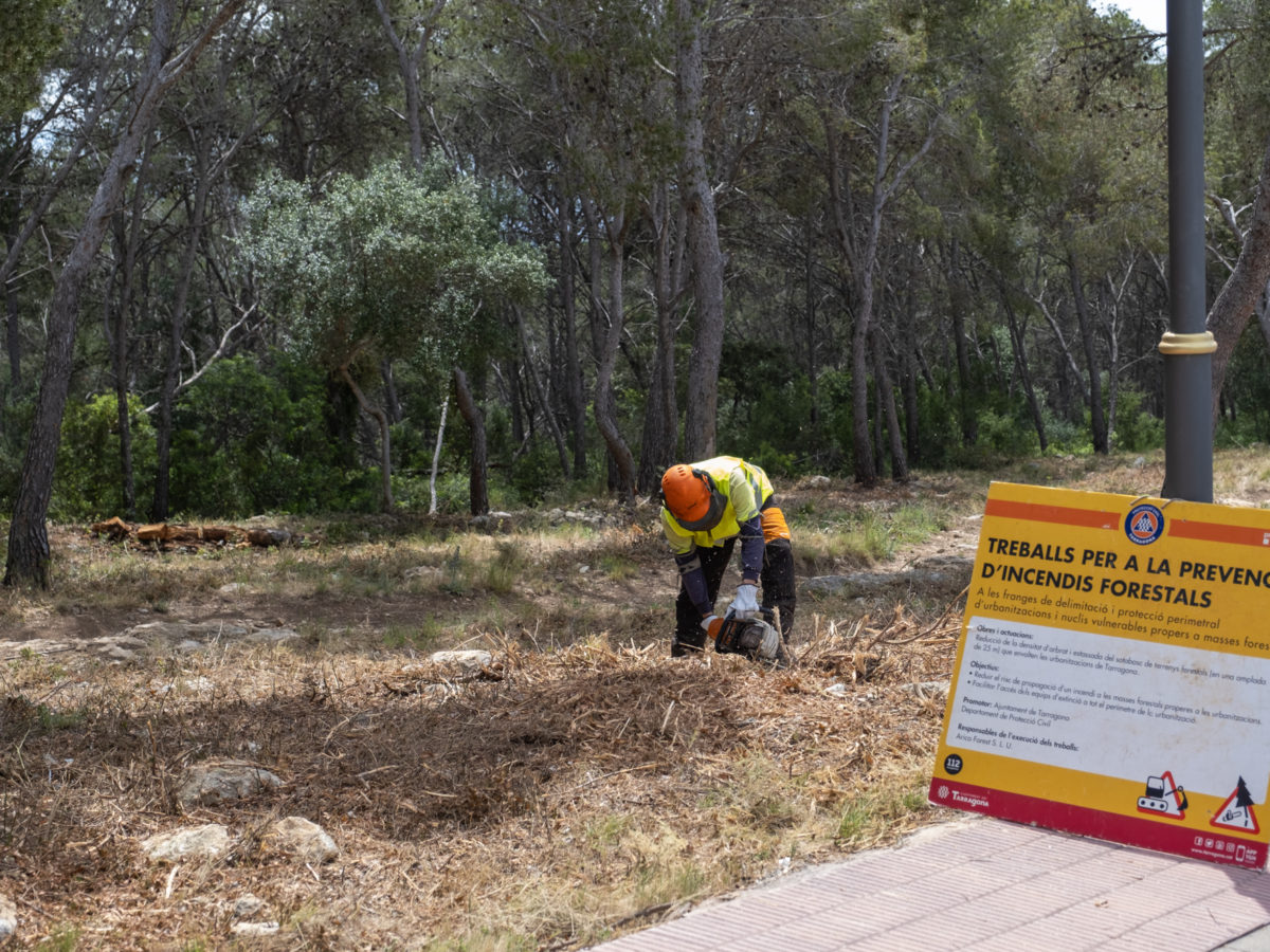 Surt a licitació el contracte per al manteniment de les franges perimetrals de prevenció d’incendis