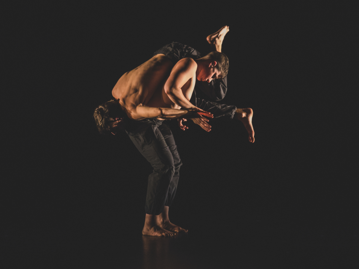 “THE” donarà el tret de sortida a una nova edició del cicle En Dansa