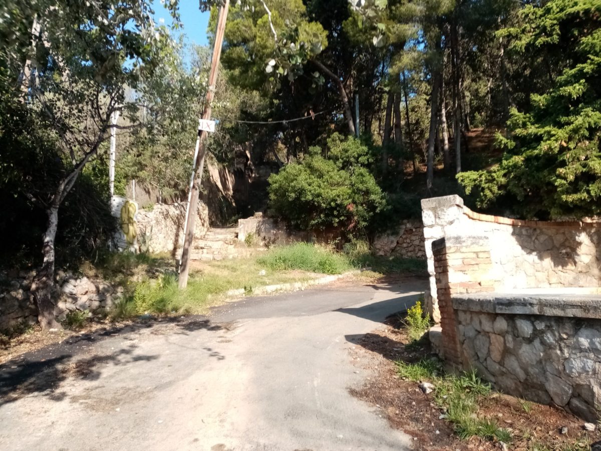 El Camí del Llorito es talla al trànsit per poda d’arbres