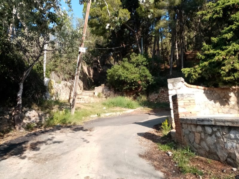 Camí del Llorito