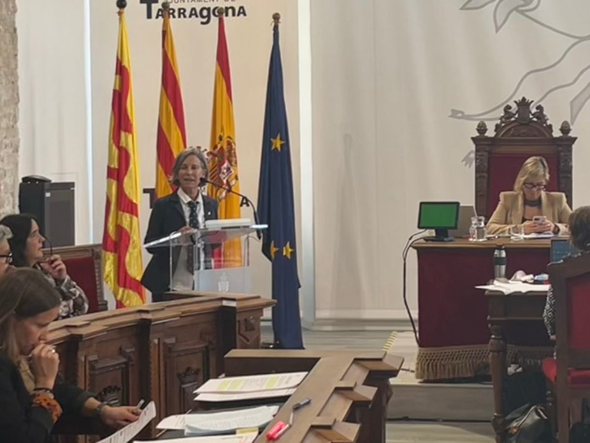 El debat sobre el transfuguisme irromp en el ple municipal
