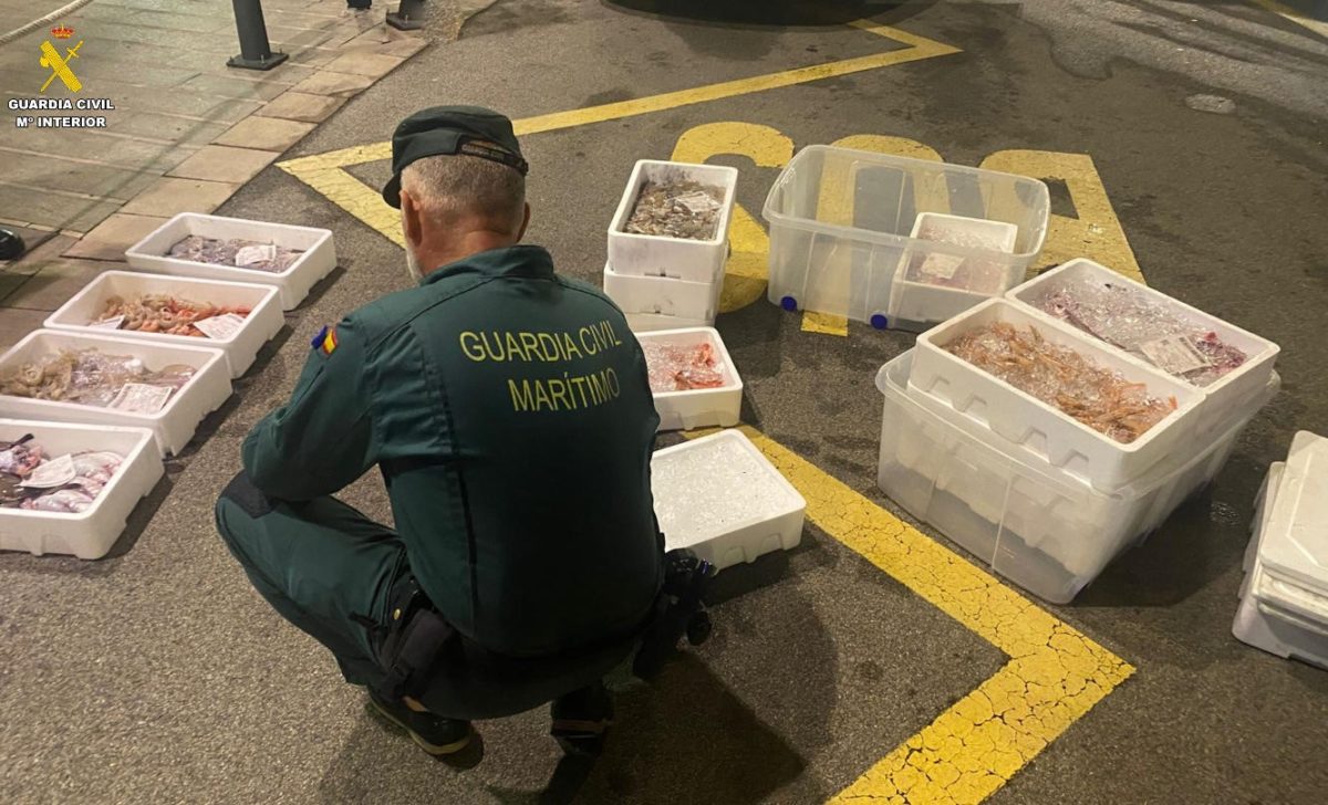 Inspeccions Guàrdia Civil