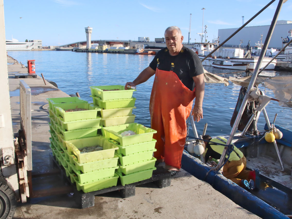 La meitat dels pescadors de Tarragona ja han esgotat els dies de quota i no podran sortir més a la mar fins l’any que ve
