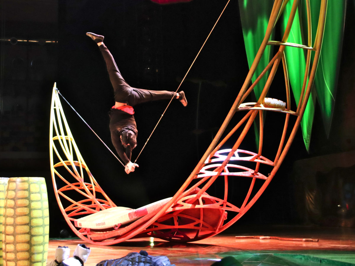 El Cirque du Soleil inicia dijous la gira europea de l’espectacle ‘Ovo’ a Tarragona