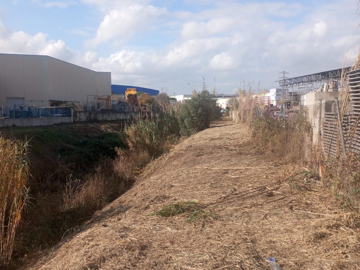 L’Ajuntament neteja la riera de Riu Clar