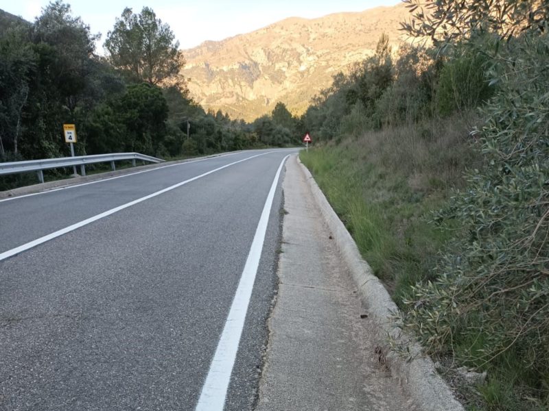 La Diputació de Tarragona retira 200 animals atropellats a les seves carreteres