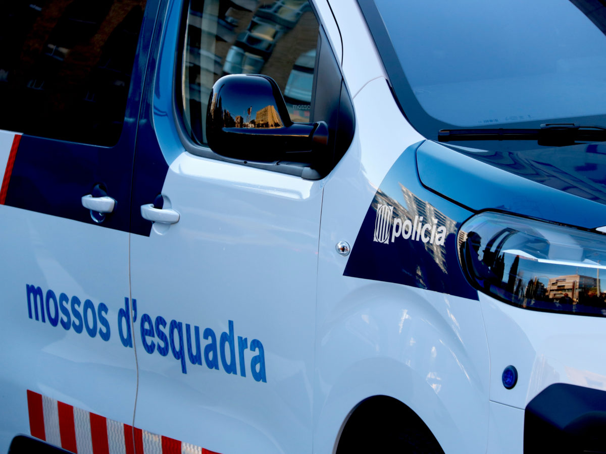 Detingut un home en desmantellar una plantació de marihuana al Catllar amb més de 600 plantes