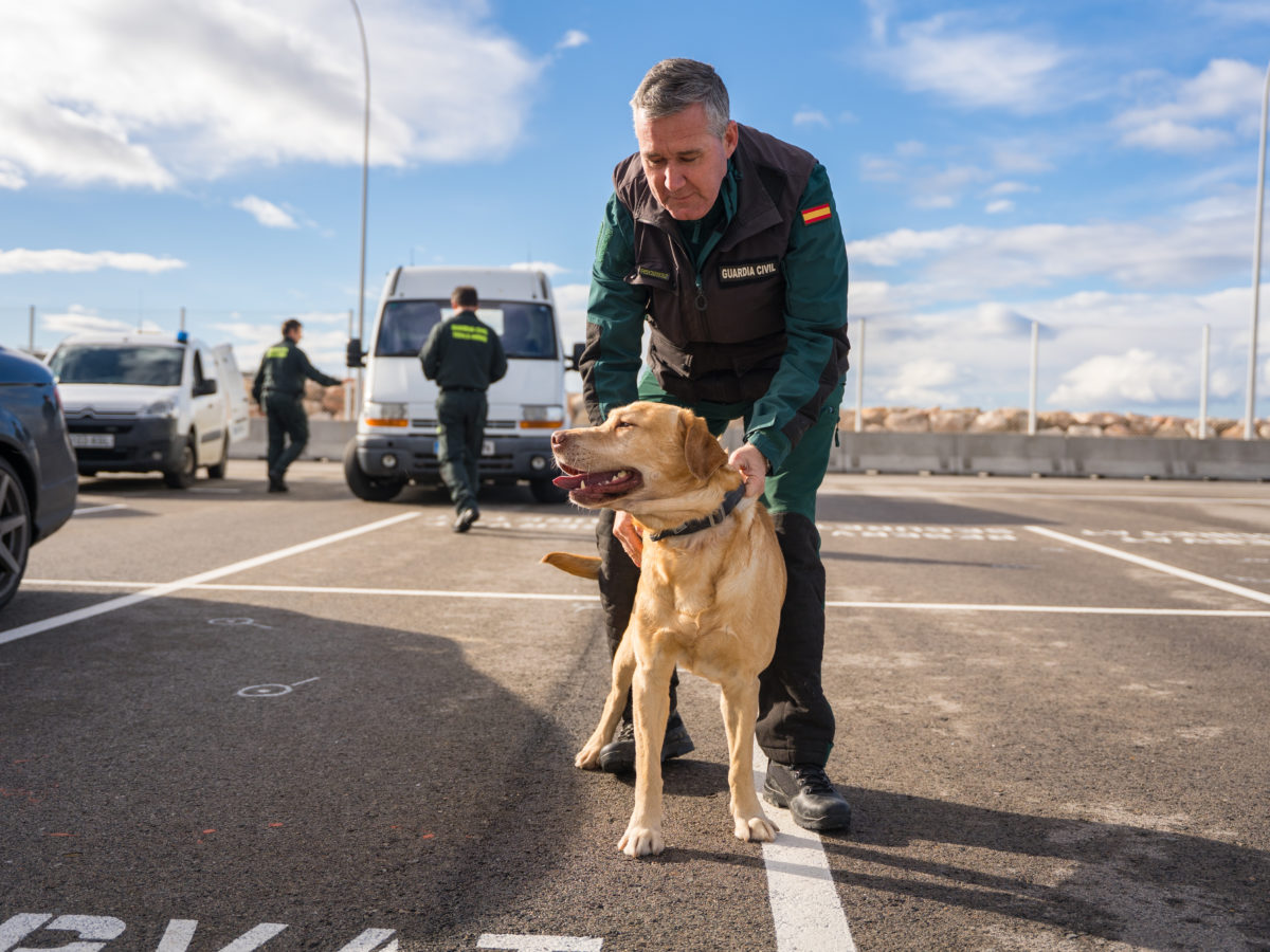 El Port de Tarragona simula una amenaça d’artefacte explosiu a la terminal de creuers amb cinquanta participants
